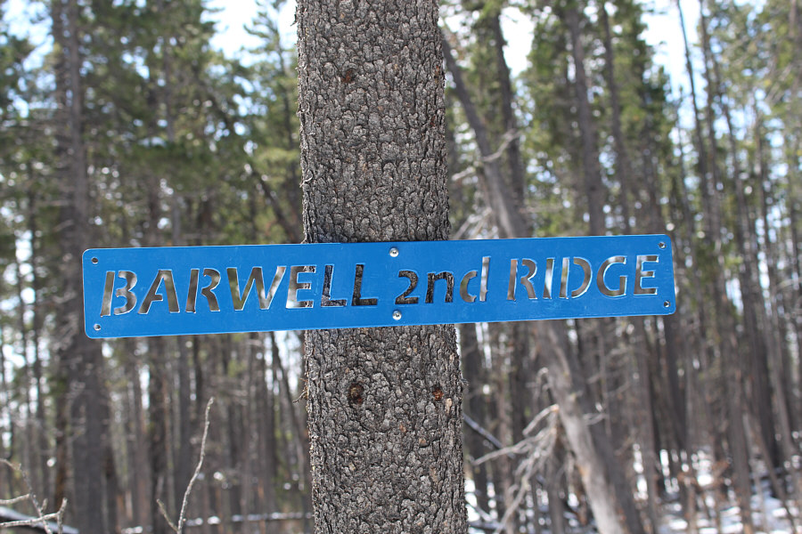 Don't forget to bring your spray paint!