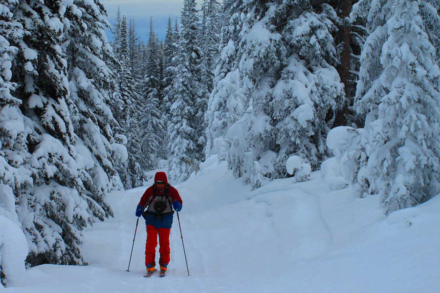 Thank goodness we don't have to break trail!