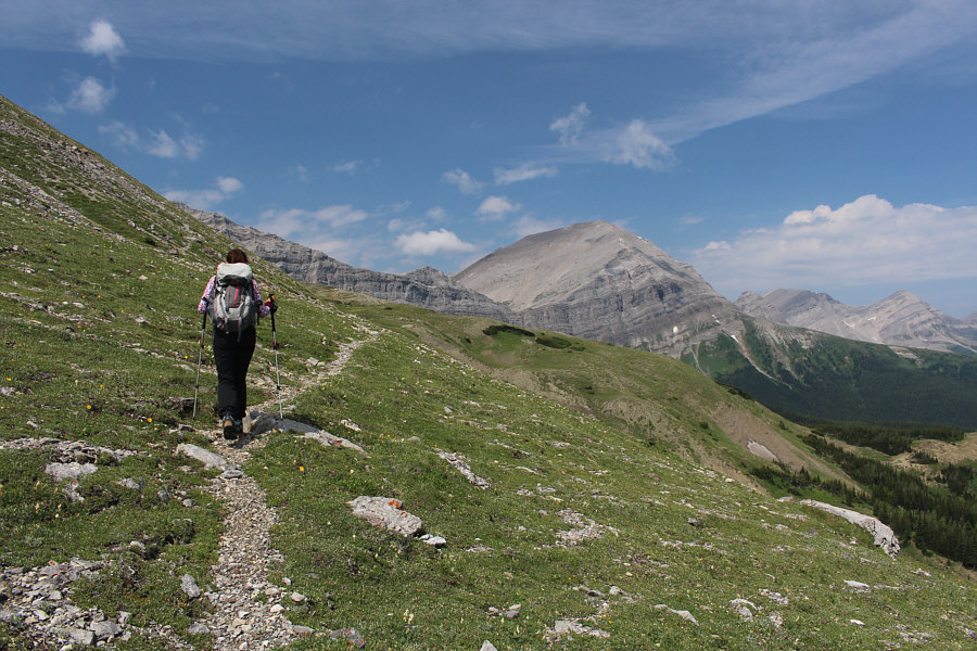 Good trail, gorgeous weather...I think we've got this summit...