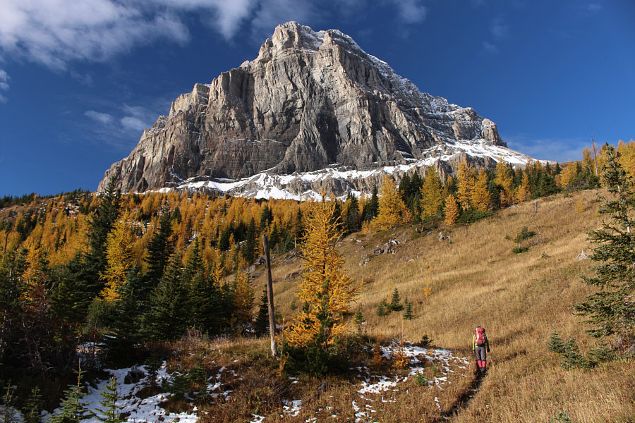 And the golden larches are a bonus!