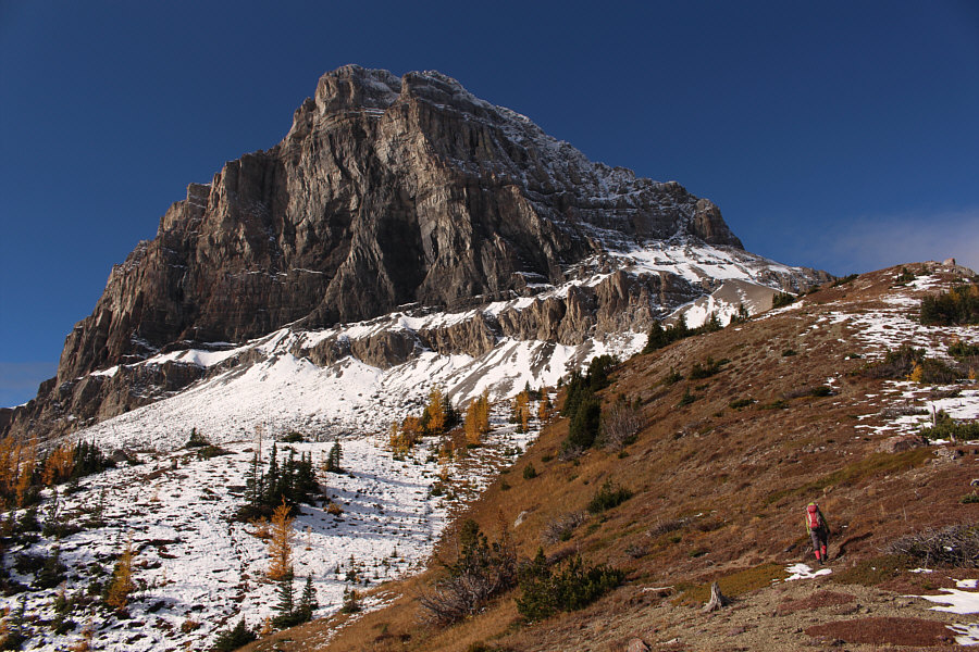 The roaring is getting louder...