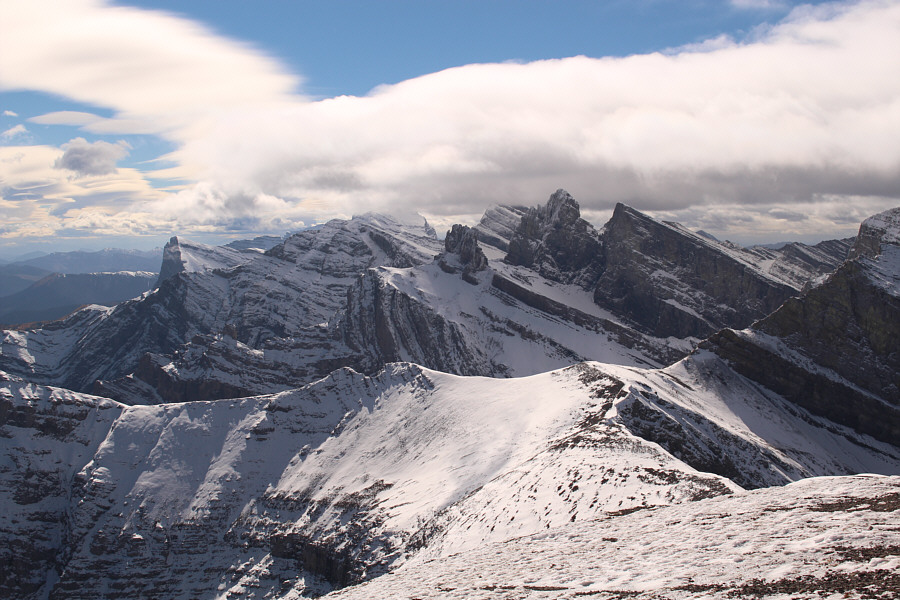 The Elevators might be worth another look in the future...