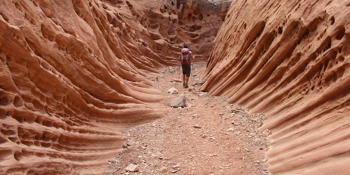 I feel like having BBQ ribs all of a sudden...