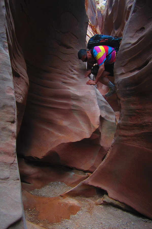 More fun than an amusement park!