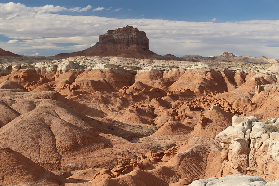 The majority of visitors to this park don't venture here...