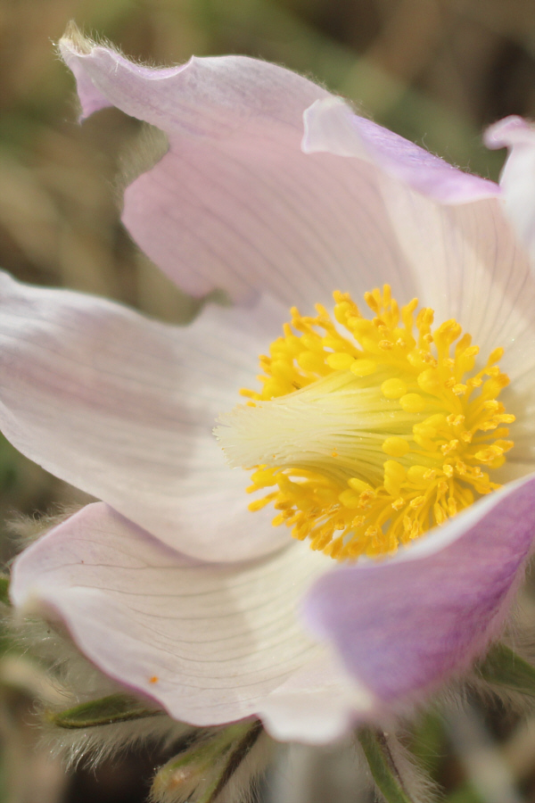 A perennial favourite!