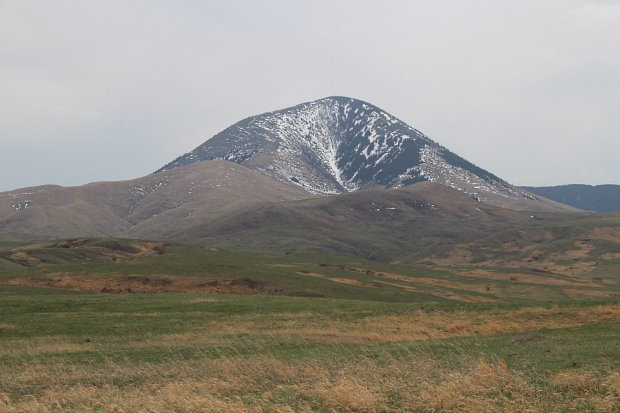 It's not so brown from this angle.