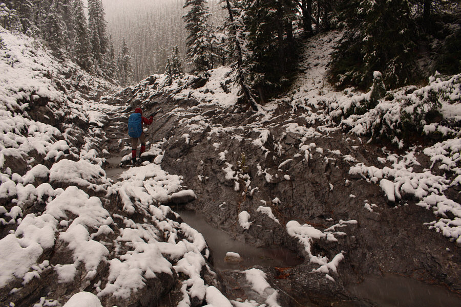 Who ordered the snow??