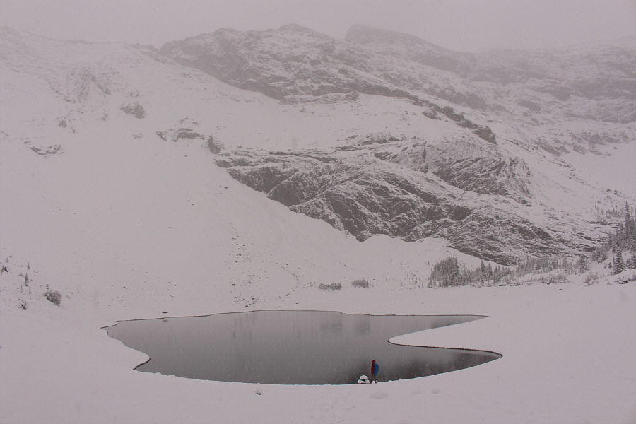 Actually quite pretty with all the snow.