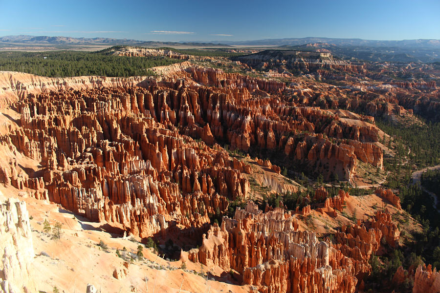 Looks like lotsa candy corn down there!