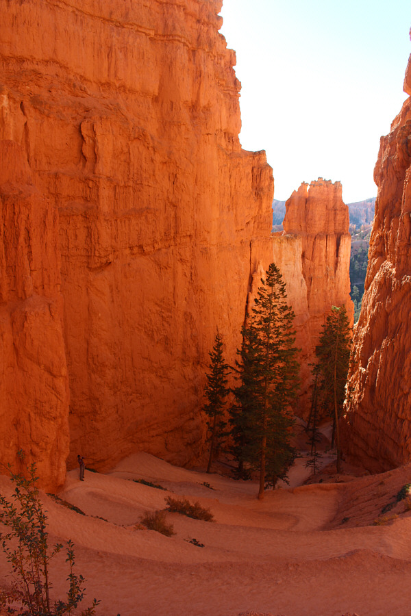 Skateboarders would love this!