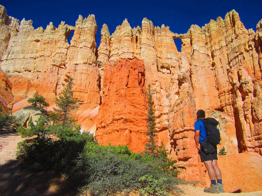 Where's the Microsoft logo?