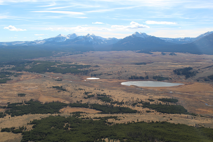 Swan Lake, eh? How clichd!