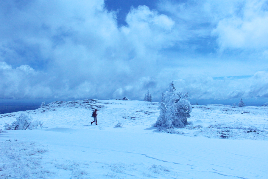 I'm not sure why this is the gazetted summit of Coliseum Mountain when it's not the true high point.