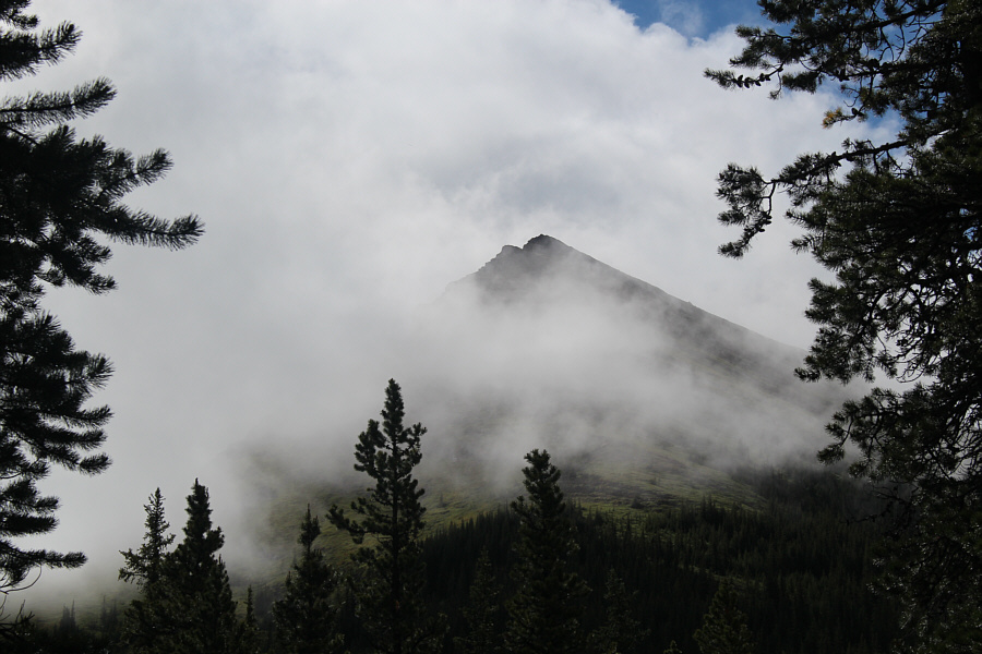 I get misty, the moment you're near...