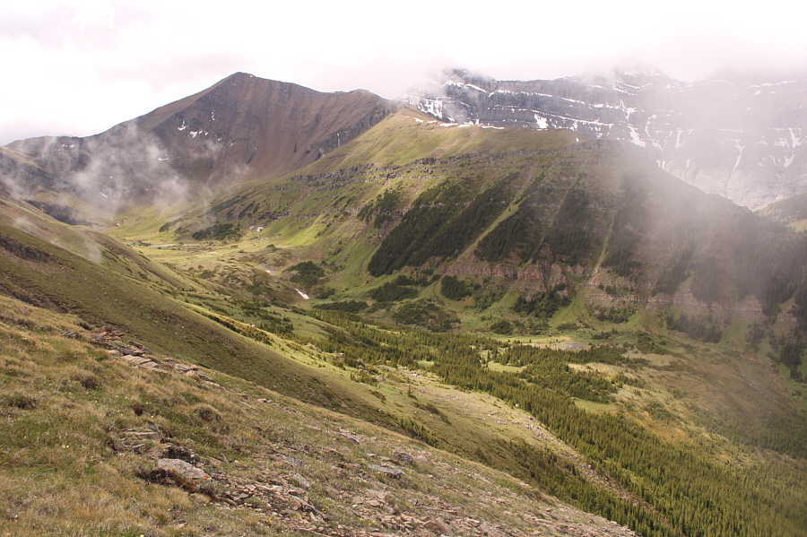 Back in the bowl...back in the bowl...