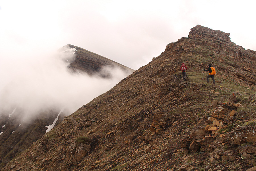 Hmmm...it does look scary!