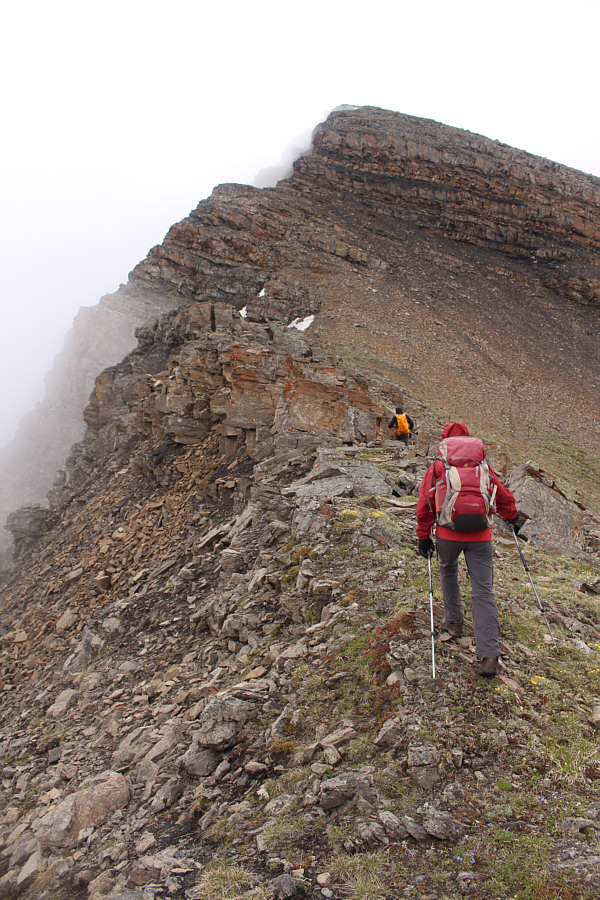 Hmmm...doesn't look very promising from here...