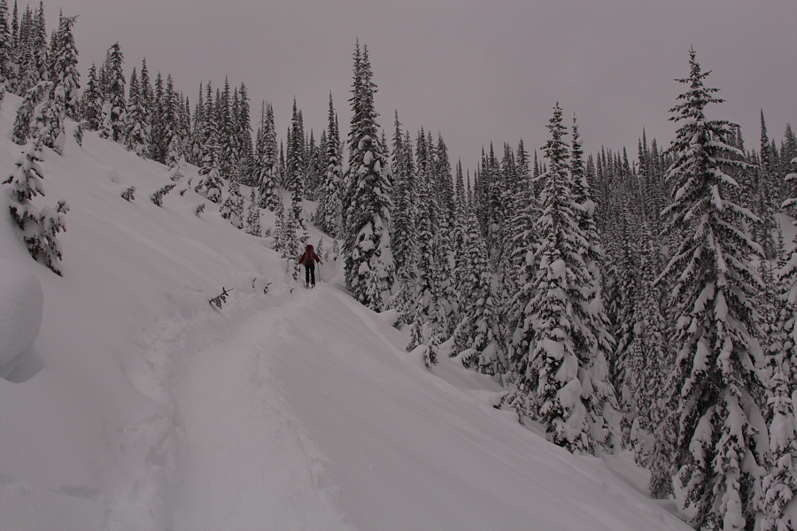 Breaking trail through this deep powder would have sucked!