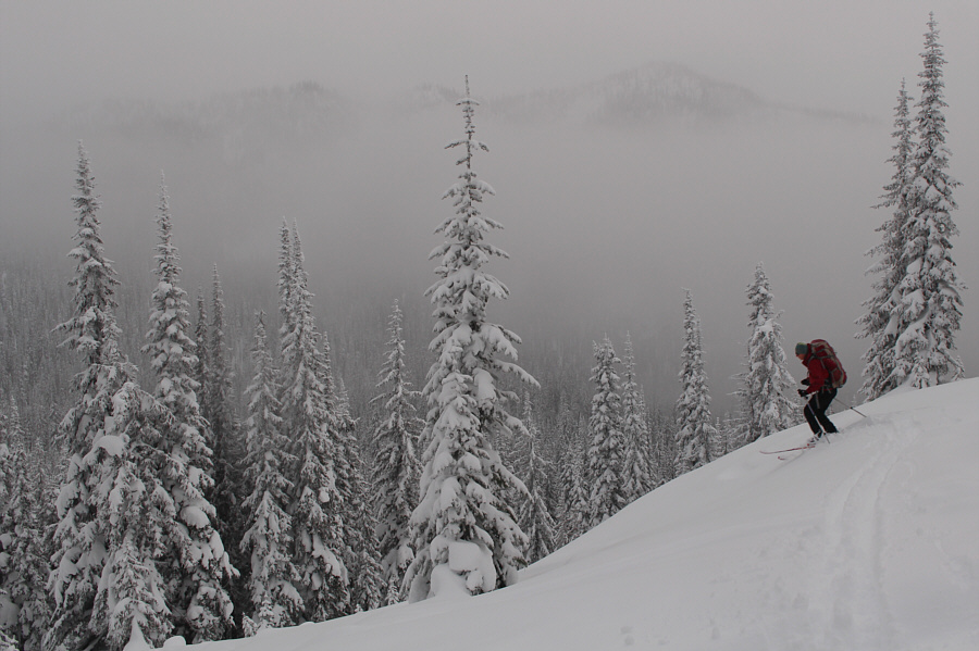 This is what we came here for, right?