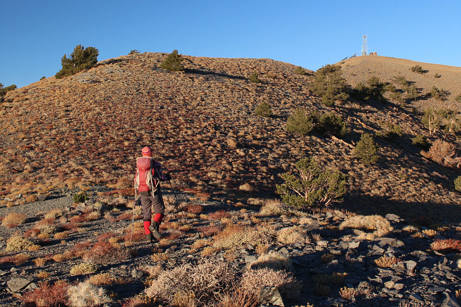 We heard a phone ring repeatedly inside one of the buildings. Probably a telemarketer...