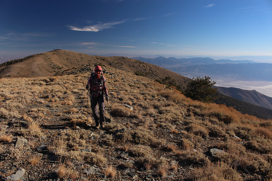 This sure beats walking the Las Vegas Strip!