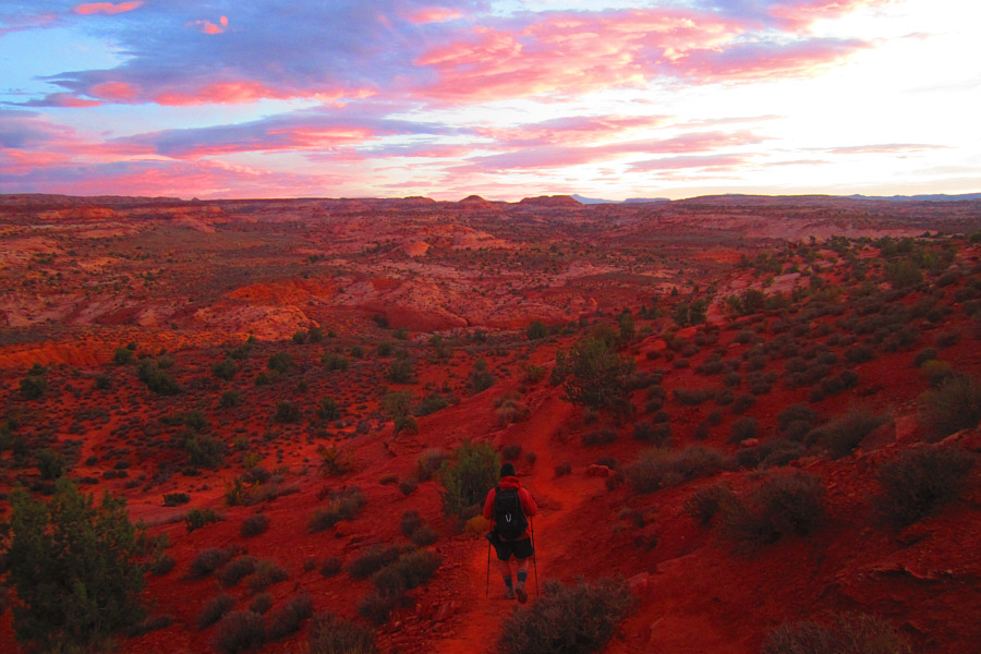 It's hard to believe that Zosia and I actually loss sight of one another here!