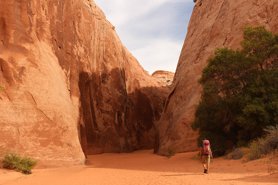 Keep an eye out for Sandpeople...