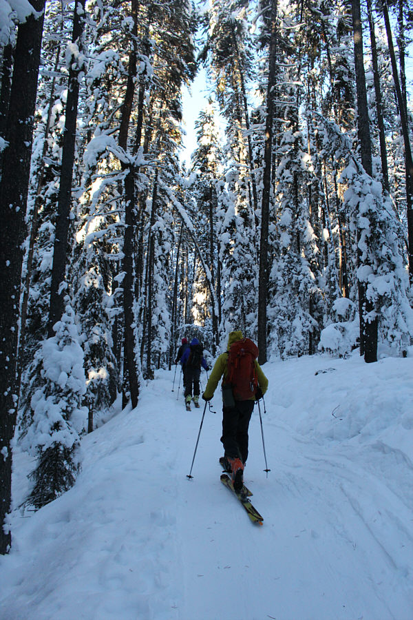 The scenery is pretty much like this for the first 2.5 hours.