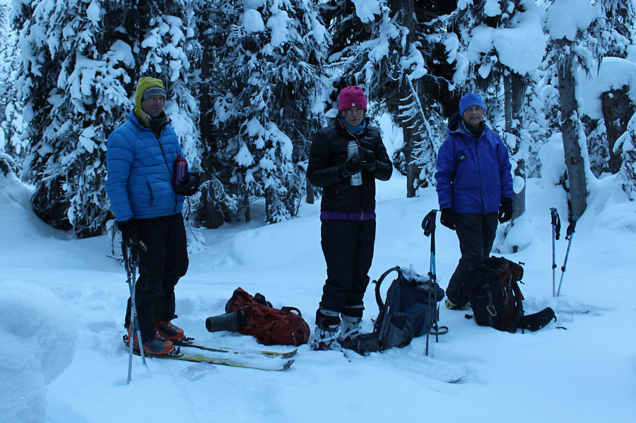 What a grim-looking bunch! Might have something to do with the cold temperatures and lack of sunlight...