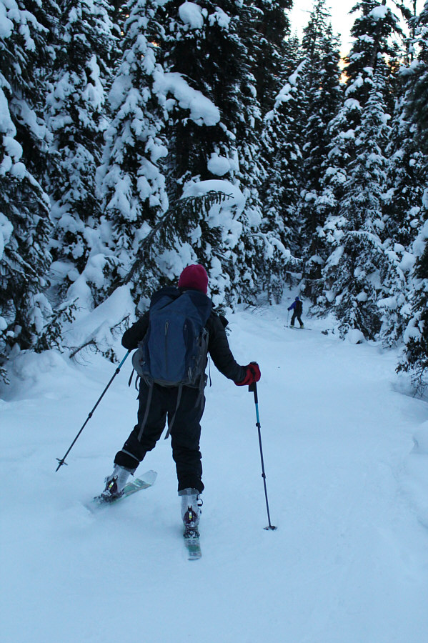 My...legs...are...burning...