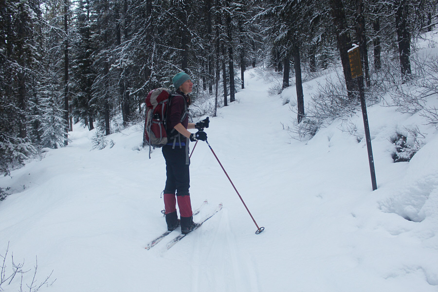 So how much further until we're done? ;-)