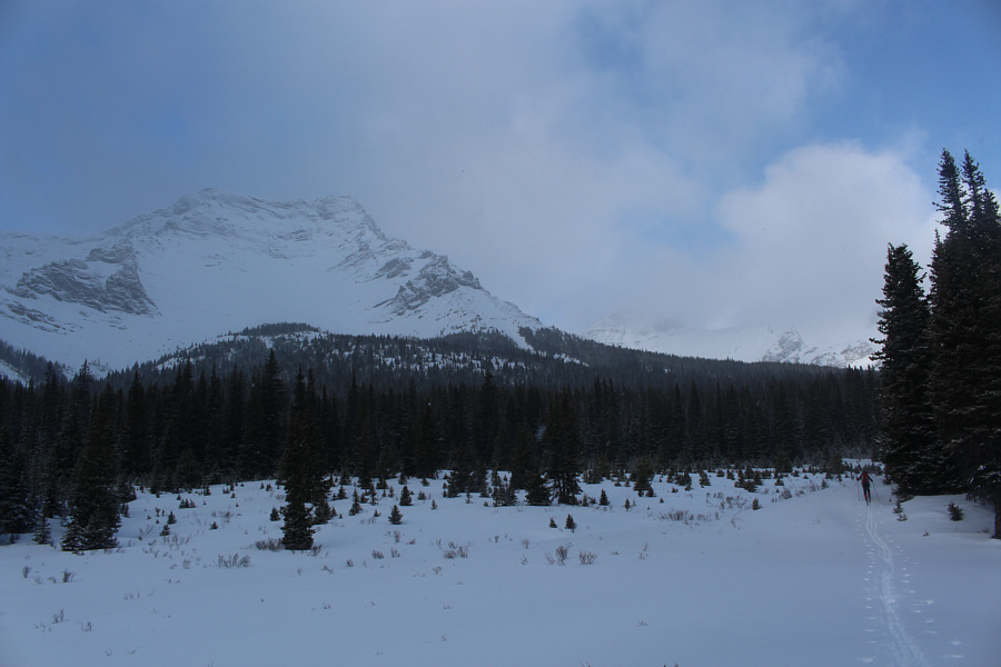 Wow, there are views along this trail? How novel!