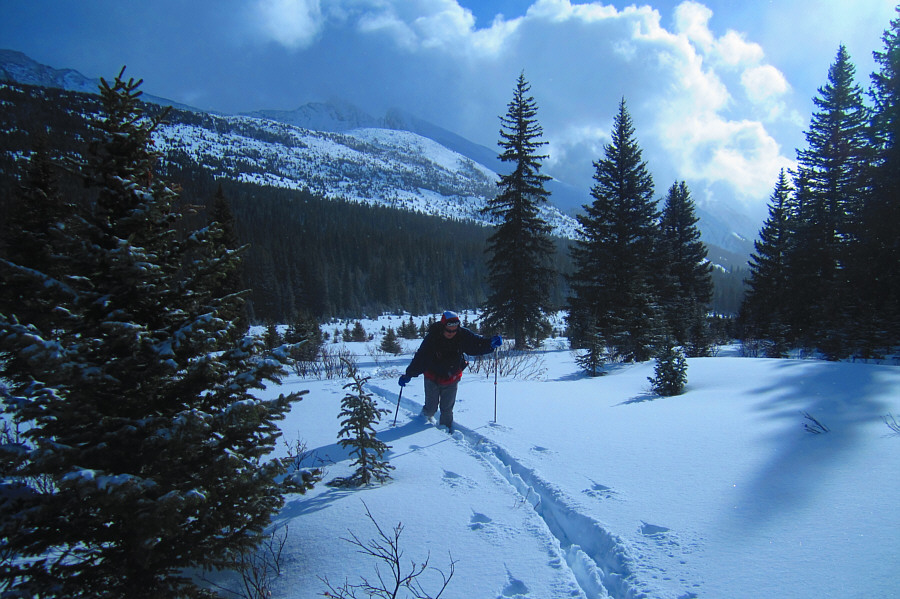 Insert your favourite weight joke here.