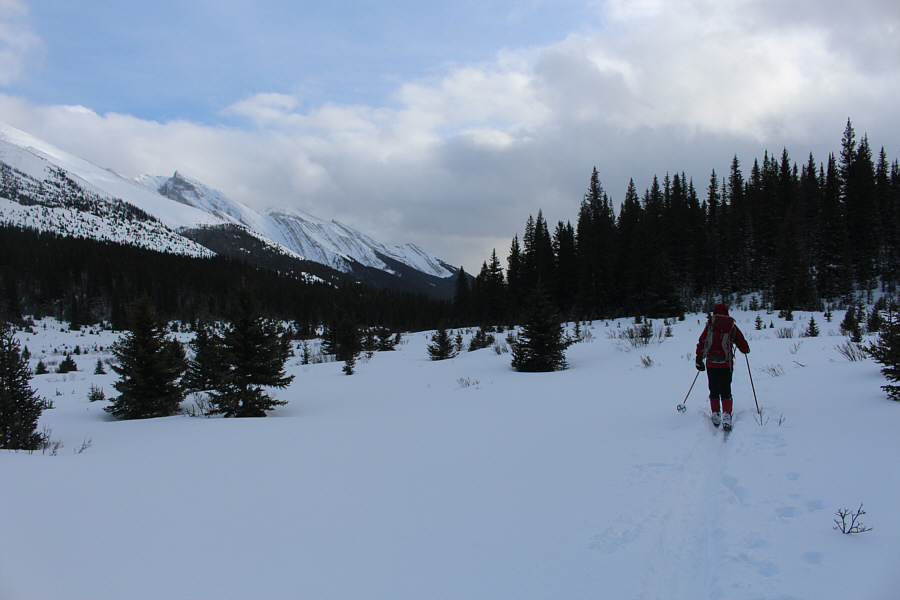 Zosia is a skiing machine!