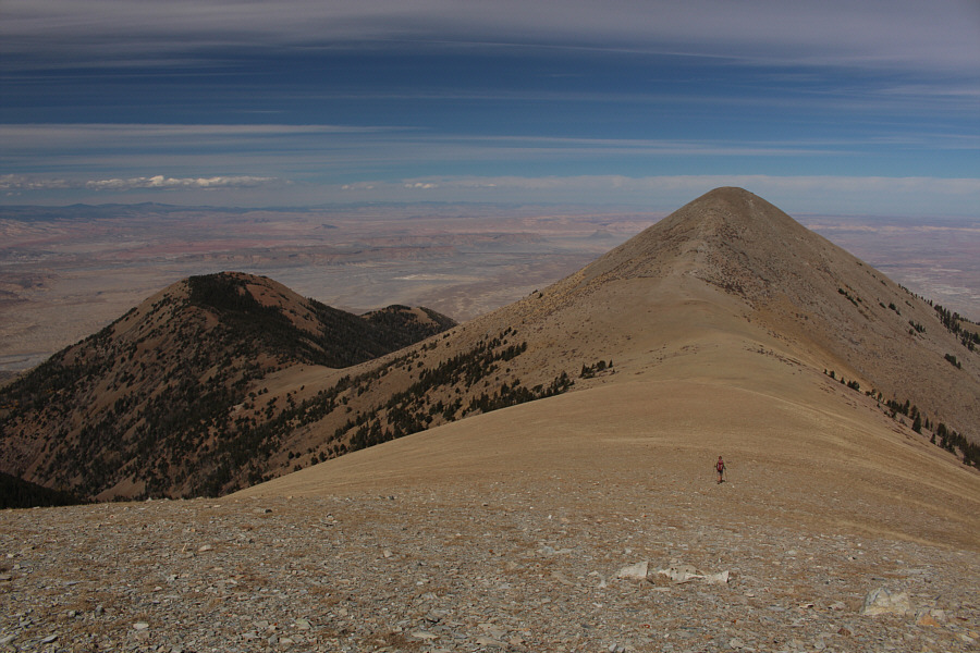 Where all "good" deer go when they die. Are there any "bad" deer?