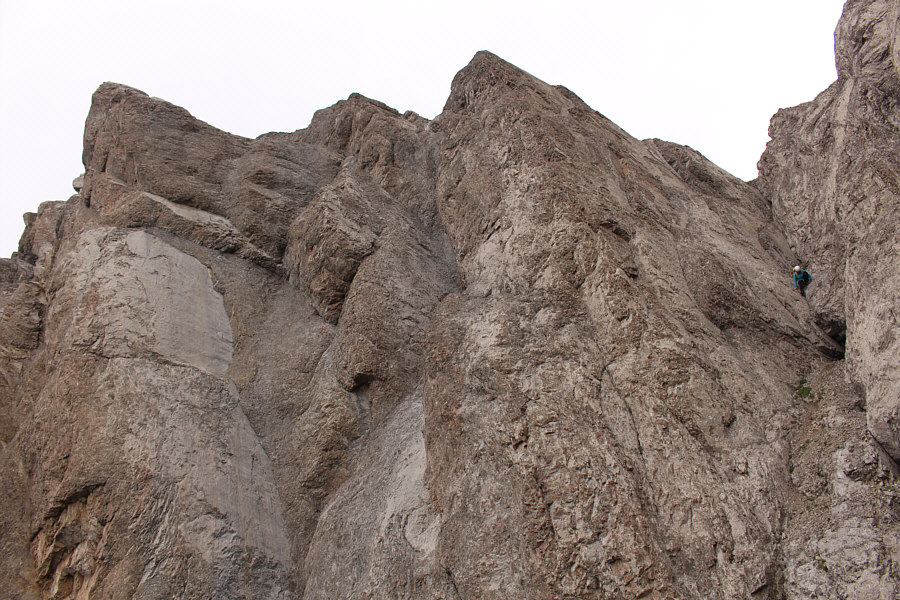 And Marta doesn't like jumping...ever!