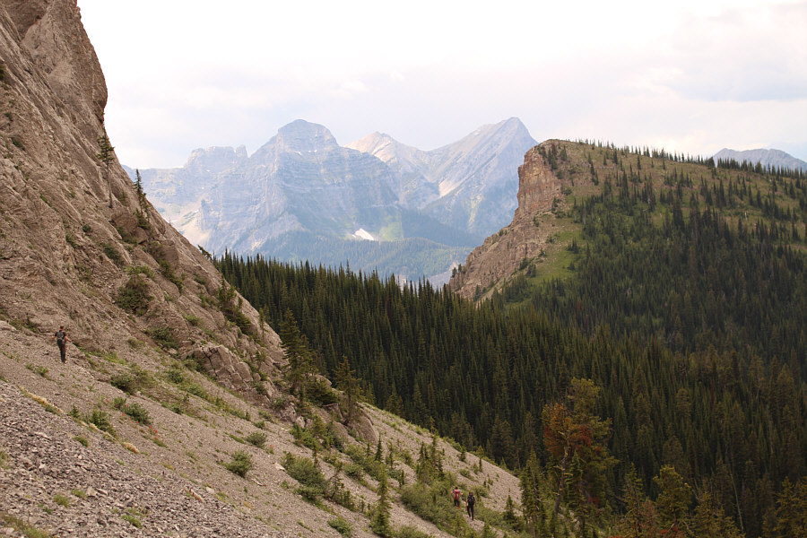 Keep an eye out for flagging.