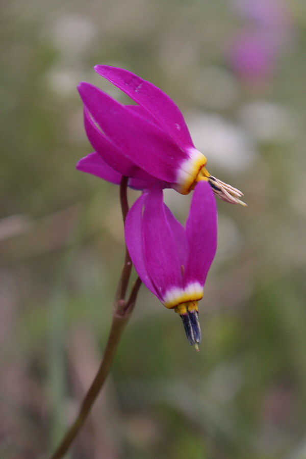 It's a perennial favourite!