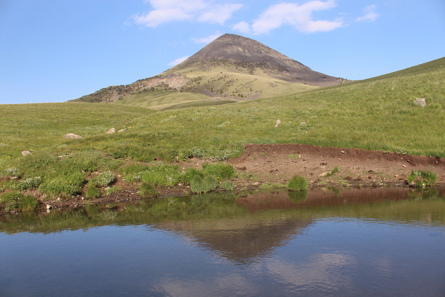 Beware of ducks around here...