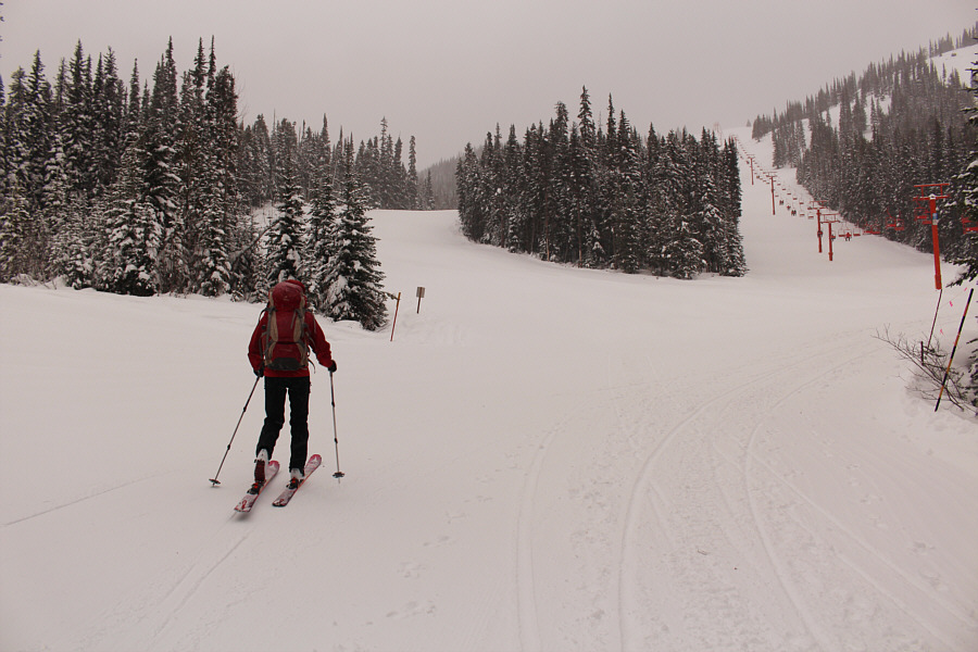 Zosia skórek się obok wyciągu krzesełkowego Orange. Wyznaczona trasa górę następuje narciarskiego na lewo.