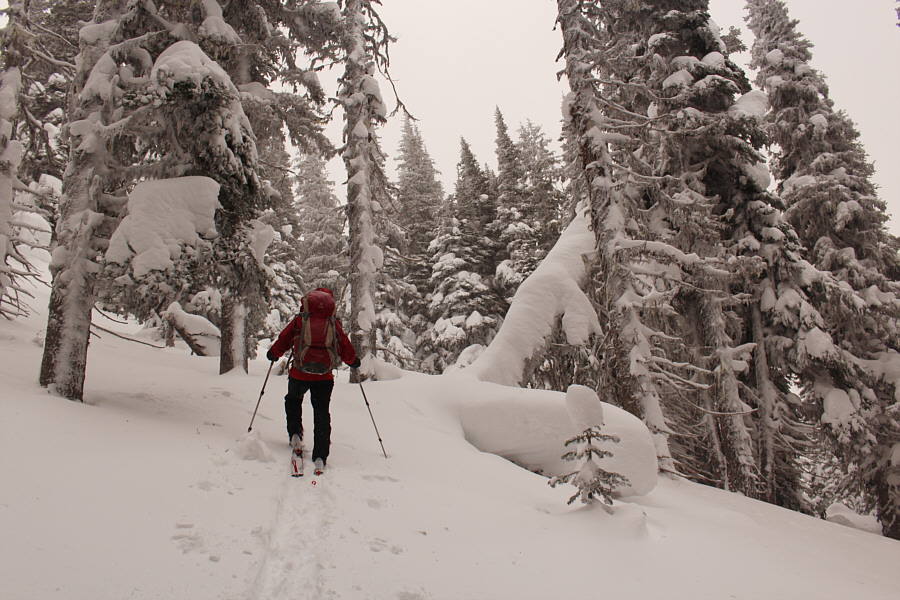 Zosia wspina się stromo w górę stoku.