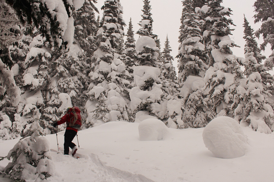 Zosia przerywa ślad w głębokim śniegu na jej drodze do Bojo Mountain.