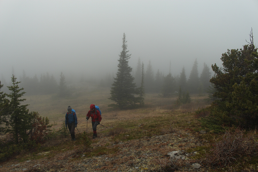 I get misty the moment you're near...