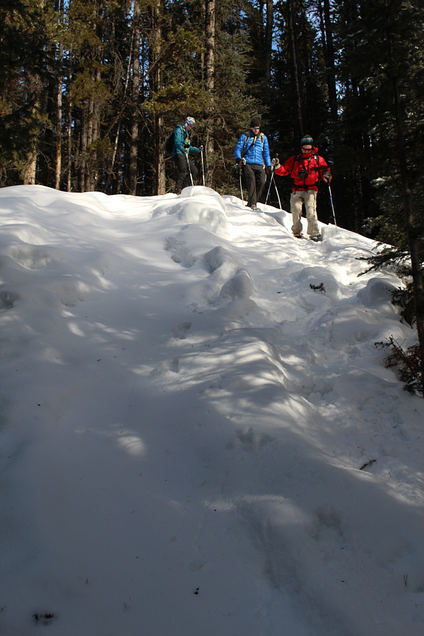 If you don't feel comfortable going down this section, don't bother continuing!