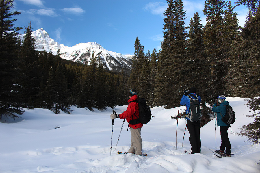 Looks like the creek is starting to thaw out...