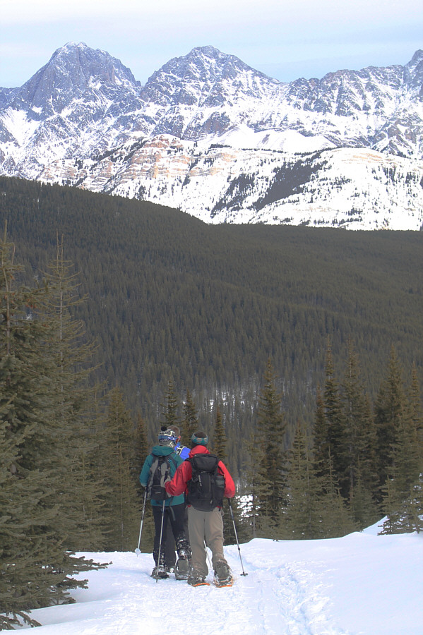 No short cuts today--back it out nice and easy!