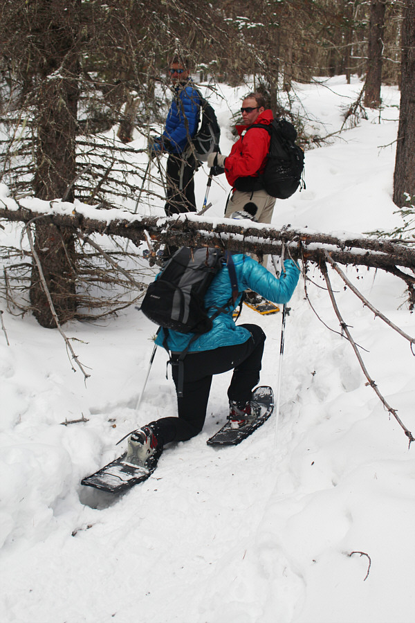 "Genuflect, show some respect, down one one knee!"