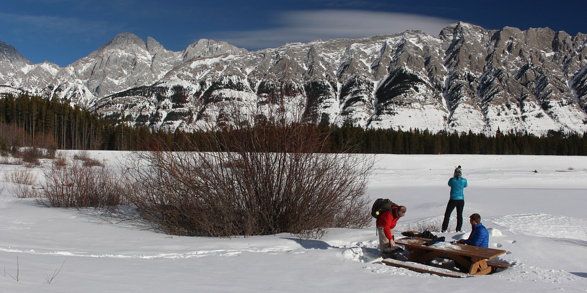 All we need are a deck of cards!