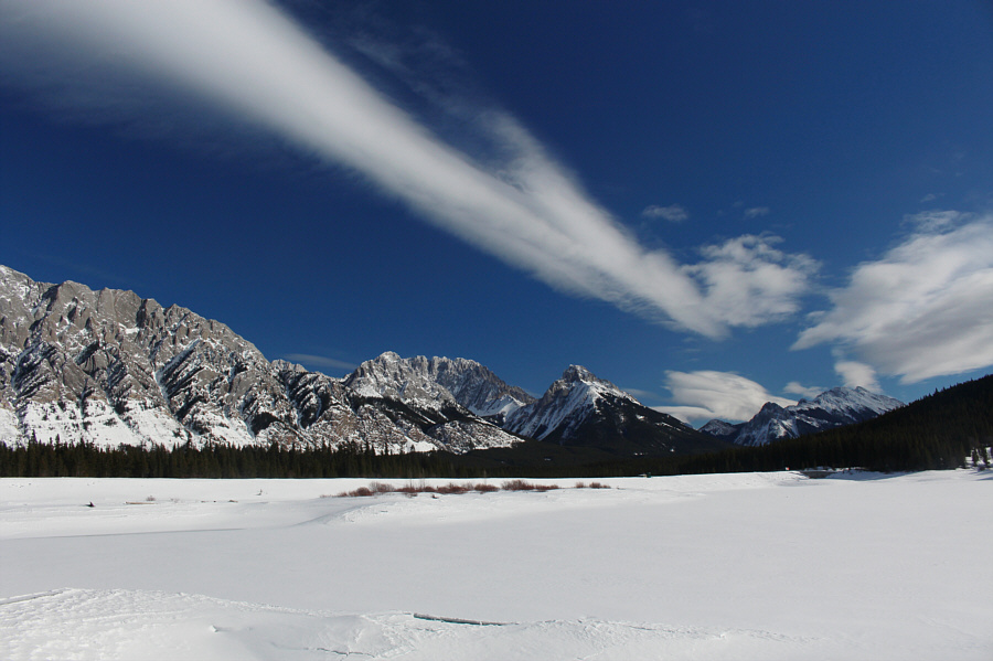 Proof of global warming, according to Leonardo DiCaprio!